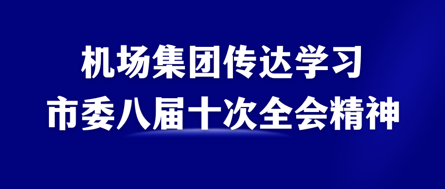 機(jī)場(chǎng)集團(tuán)傳達(dá)學(xué)習(xí)市委八屆十次全會(huì)精神